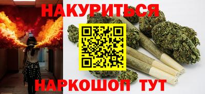 гидра Кандалакша