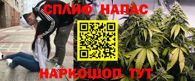 ALPHA PVP Камышлов