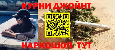 гидра Кандалакша