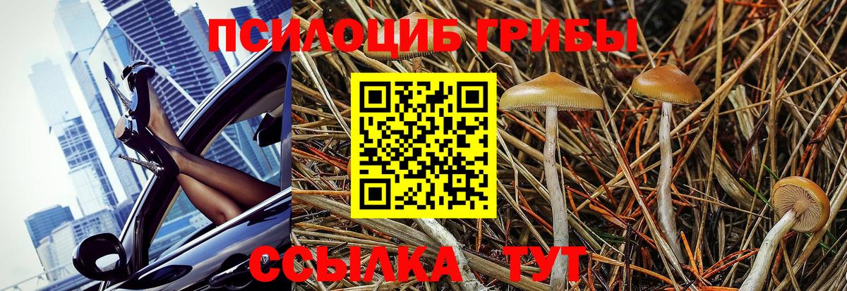 Галлюциногенные грибы MAGIC MUSHROOMS Избербаш