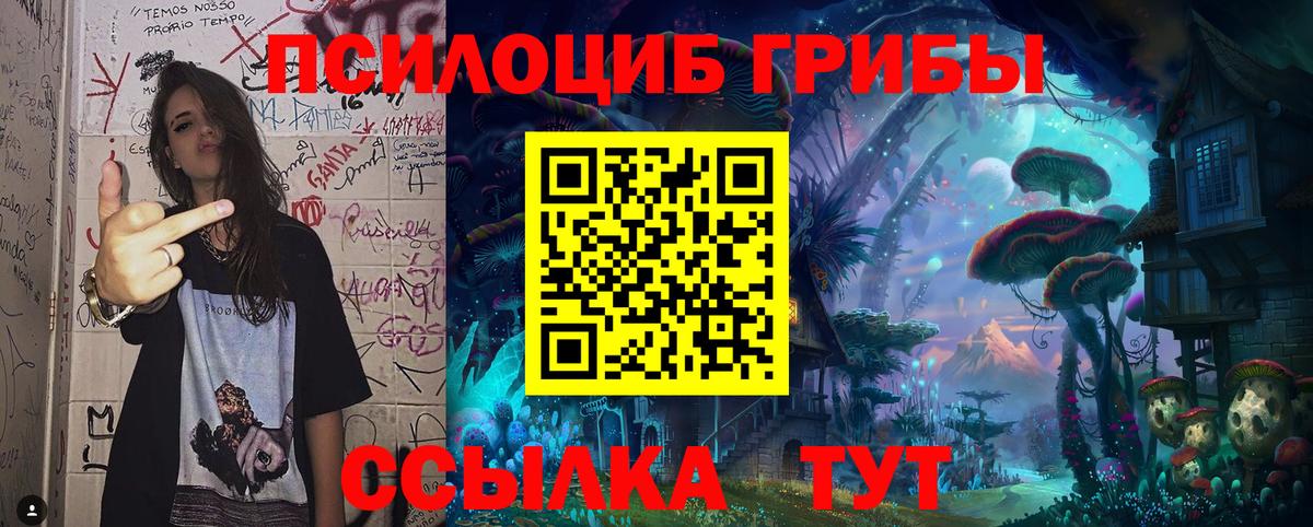 Псилоцибиновые грибы Избербаш